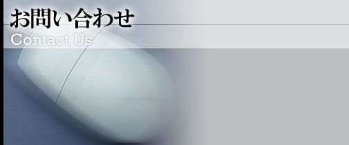 ₢킹 Contact Us