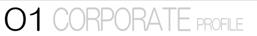 01 CORPORATE PROFILE