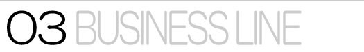 03 BUSINESS LINE