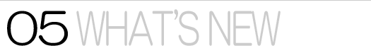 03 BUSINESS LINE